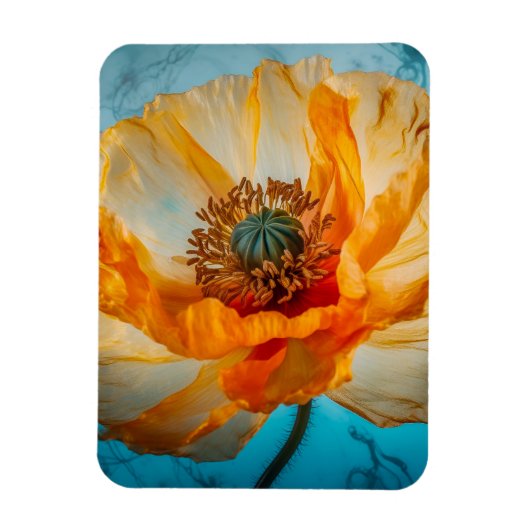 Oranje schoonheid magneet (Verticaal)