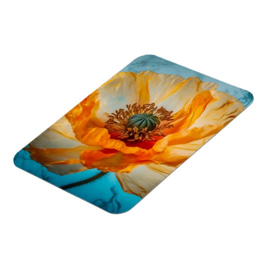 Oranje schoonheid magneet (Linkerzijde)