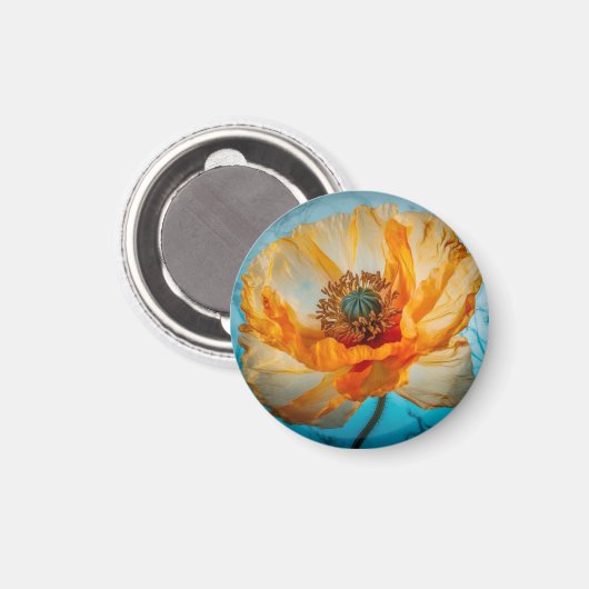 Oranje schoonheid magneet (Voorkant / Achterkant)