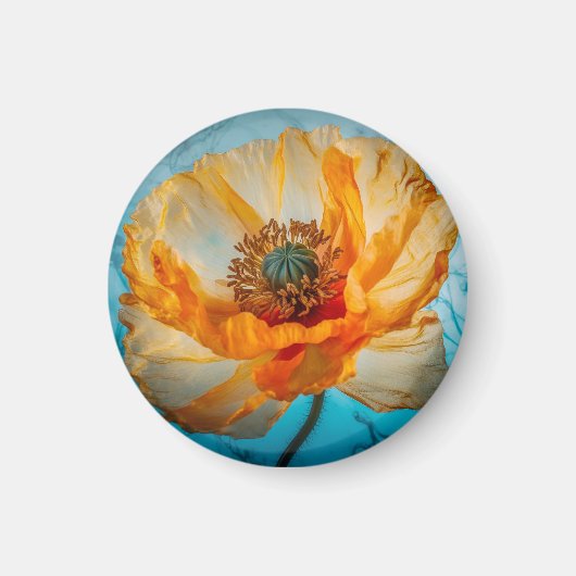 Oranje schoonheid magneet (Voorkant)