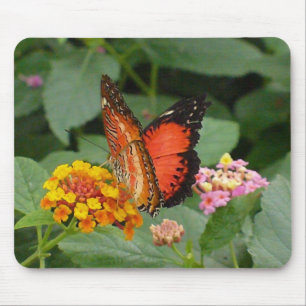 Oranje schoonheid muismat