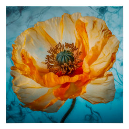 Oranje schoonheid perfect poster