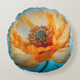 Oranje schoonheid rond kussen