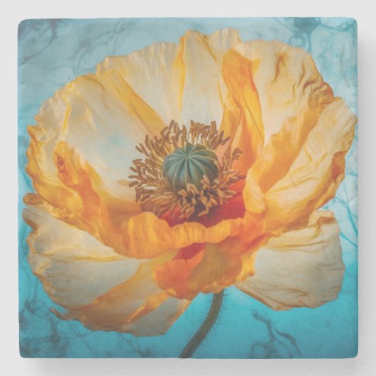 Oranje schoonheid stenen onderzetter (Voorkant)