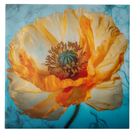 Oranje schoonheid tegeltje