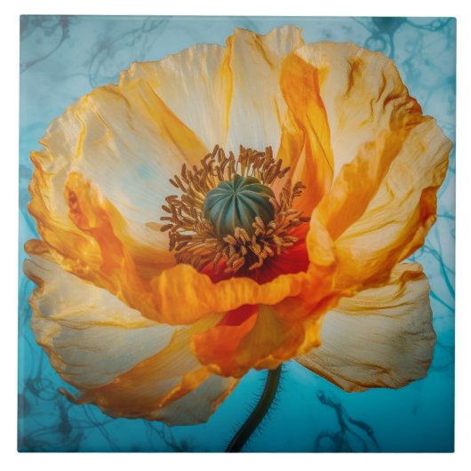 Oranje schoonheid tegeltje (Voorkant)