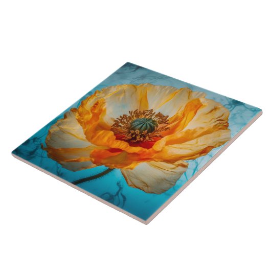 Oranje schoonheid tegeltje (Zijkant)