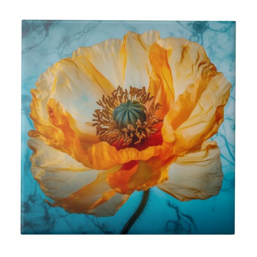 Oranje schoonheid tegeltje (Voorkant)