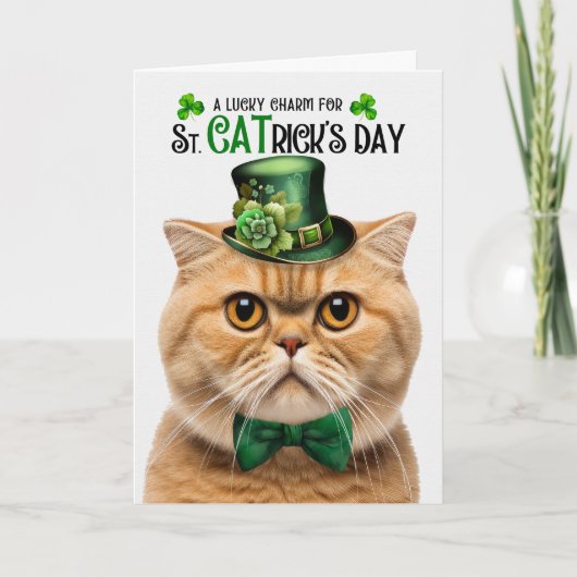 Oranje Schotse Vouw Lucky Charm St CATrick's Day Feestdagen Kaart (Voorkant)
