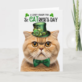 Oranje Schotse Vouw Lucky Charm St CATrick's Day Feestdagen Kaart