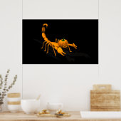 Oranje Scorpion Poster (Keuken)