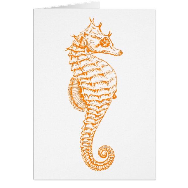Oranje Seahorse (Voorkant)
