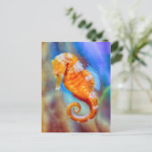 Oranje Seahorse delight Briefkaart (Staand voorkant)