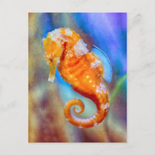 Oranje Seahorse delight Briefkaart