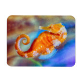 Oranje Seahorse delight Magneet (Horizontaal)