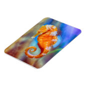 Oranje Seahorse delight Magneet (Linkerzijde)