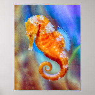 Oranje Seahorse delight Poster