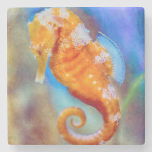 Oranje Seahorse delight Stenen Onderzetter