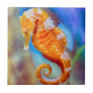 Oranje Seahorse delight Tegeltje