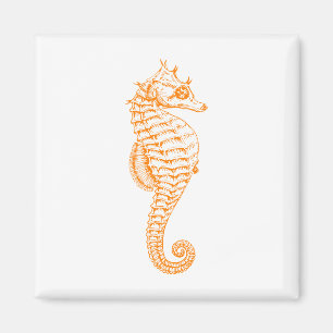 Oranje Seahorse Magneet