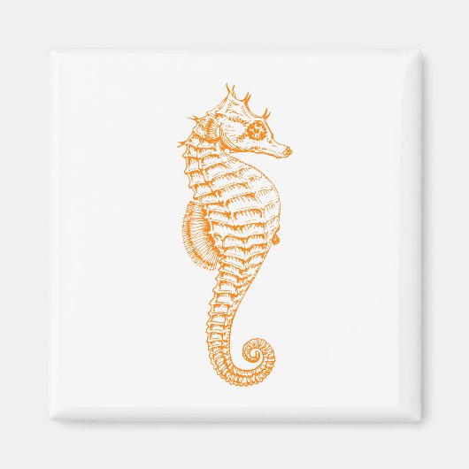 Oranje Seahorse Magneet (Voorkant)