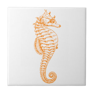 Oranje Seahorse Tegeltje