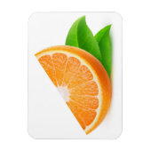 Oranje segment magneet (Verticaal)