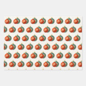 Oranje siervoorwerpen Reeks van 3 vellen papier (Voorkant)