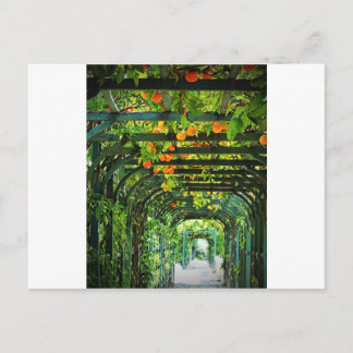 Oranje Sinaasappels en gele luiers op de Groene Tr Briefkaart