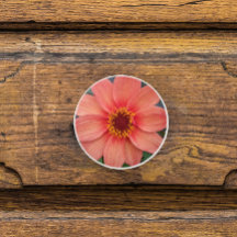 Oranje Single Dahlia Floral