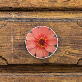 Oranje Single Dahlia Floral Keramische Knop