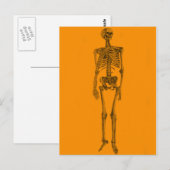 Oranje Skelet Schedel Briefkaart (Voorkant / Achterkant)