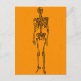 Oranje Skelet Schedel Briefkaart