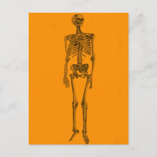 Oranje Skelet Schedel Briefkaart (Voorkant)