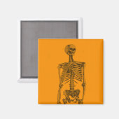 Oranje Skelet Schedel Magneet (Voorkant / Achterkant)