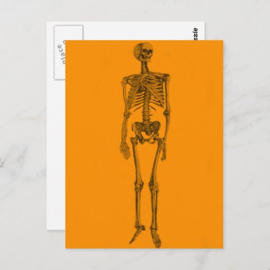 Oranje skeletschedel briefkaart (Voorkant / Achterkant)