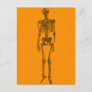 Oranje skeletschedel briefkaart