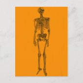 Oranje skeletschedel briefkaart (Voorkant)
