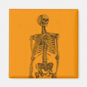 Oranje skeletschedel magneet
