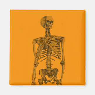 Oranje skeletschedel magneet