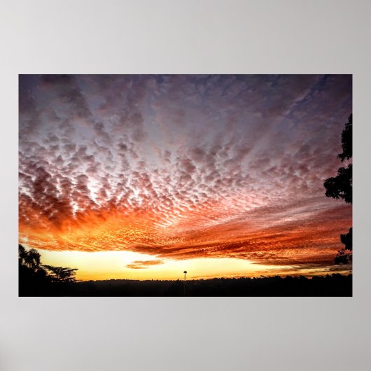 Oranje Skies Poster (Voorkant)