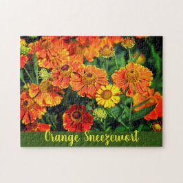 Oranje Sneezeweed Helenium Tuinbloemen Legpuzzel