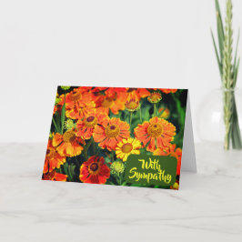 Oranje Sneezewort Bloemen Foto met sympathie Kaart