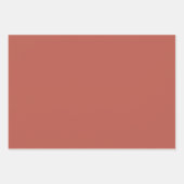 Oranje Spice Gold Glitter Zebra Verjaardag Inpakpapier Vel (Voorkant 2)