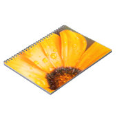 Oranje Spring Flash African Daisy Close-up foto Notitieboek (Linkerzijde)