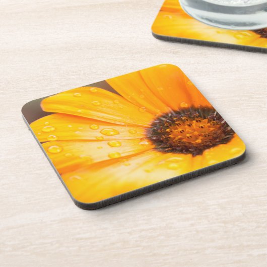 Oranje Spring Flash African Daisy Close Up Photo Bier Onderzetter (Linkerzijde)