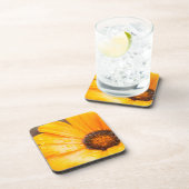 Oranje Spring Flash African Daisy Close Up Photo Bier Onderzetter (Rechterzijde)