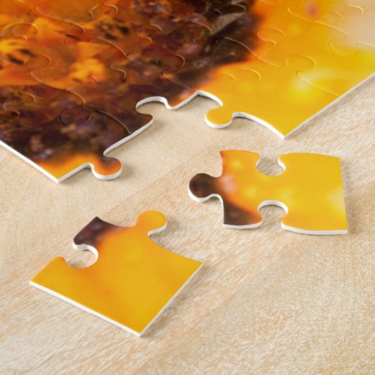 Oranje Spring Flash African Daisy Close Up Photo Legpuzzel (Zijkant)