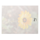 Oranje Spring Flash African Daisy Close Up Photo Notitieblok (Voorkant)