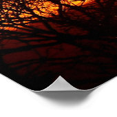 Oranje Squash Sunset Poster (Hoek)